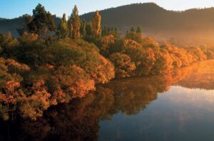 Derwent-River-New-Norfolk-Tourism-Tasmania