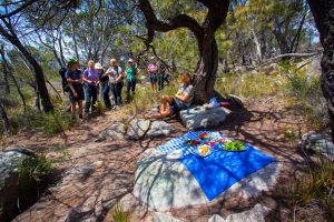 Great-Walks-of-Australia-Freycinet-Experience-Walk-Great-Walks-of-Australia